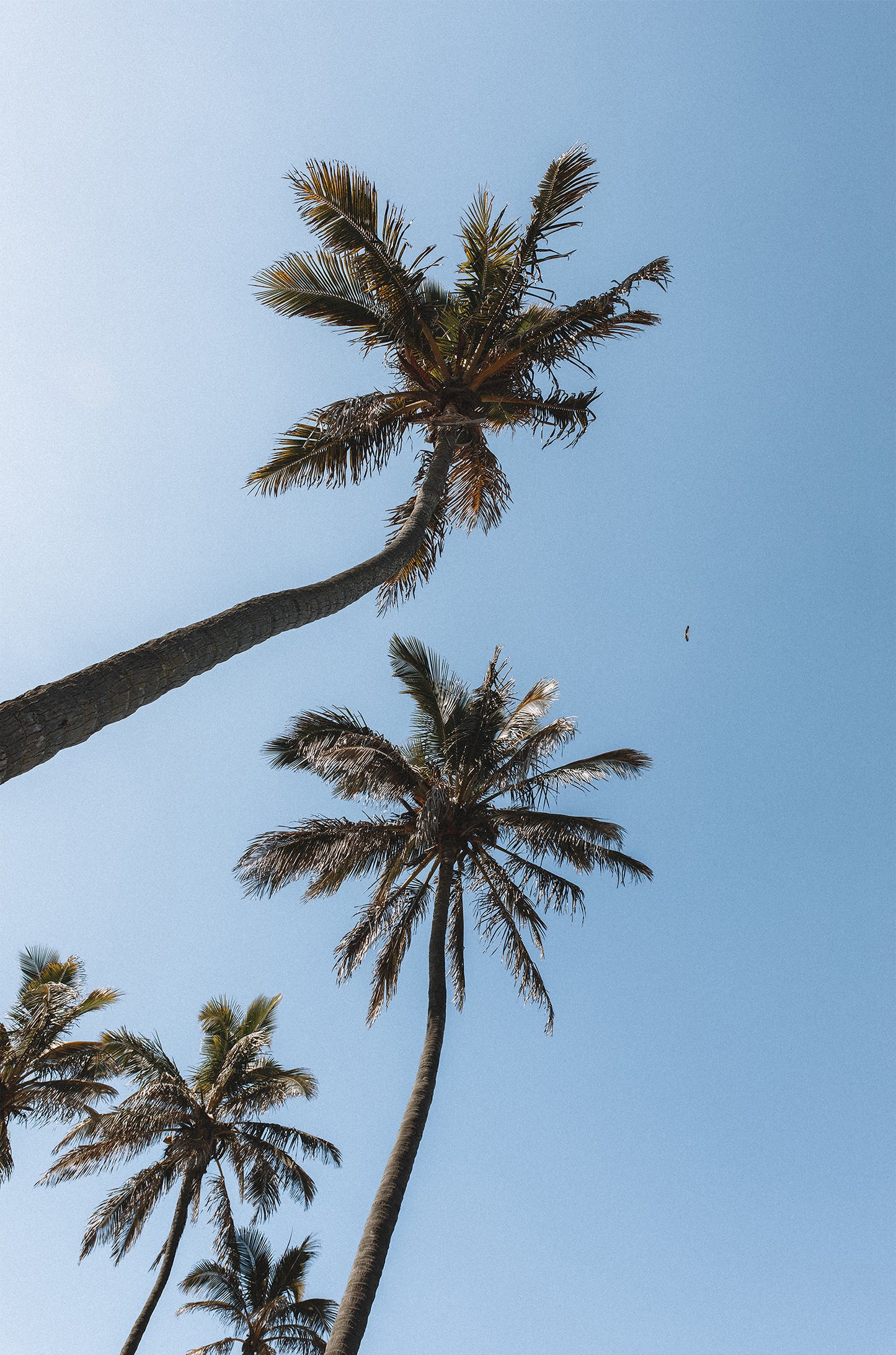 Main Beach, Gold Coast QLD