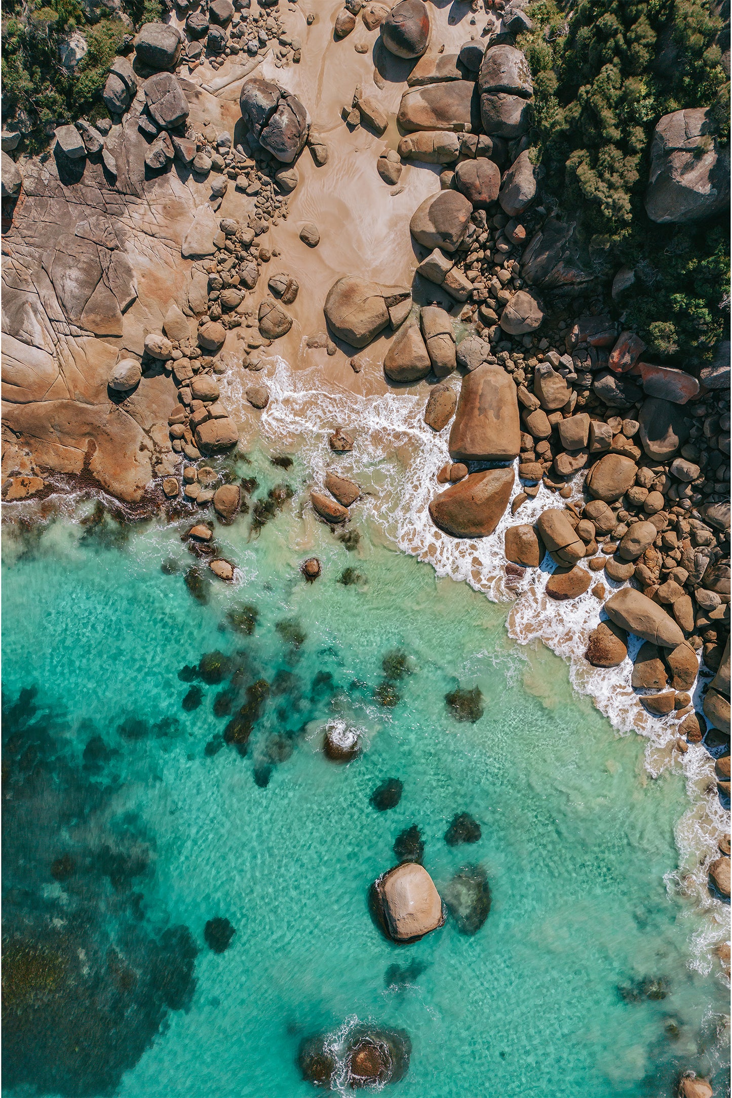 Wilsons Prom Cove Print