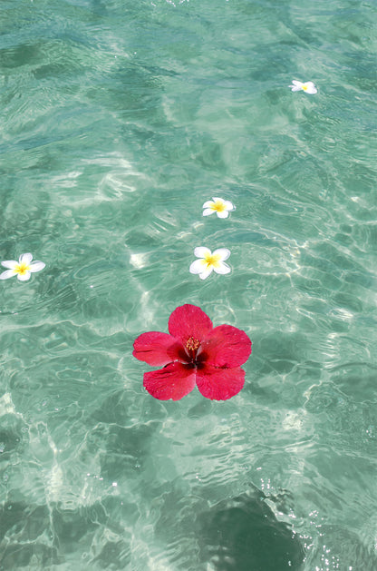 Flowers in turquoise waters Print