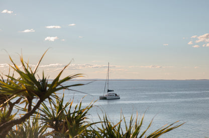 Sail Noosa Wide Print