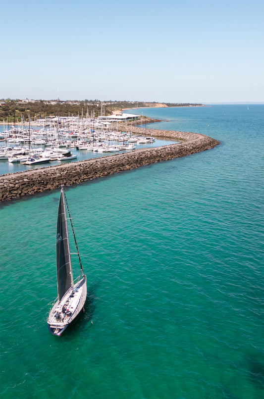 Sandringham Yacht Club portrait Print