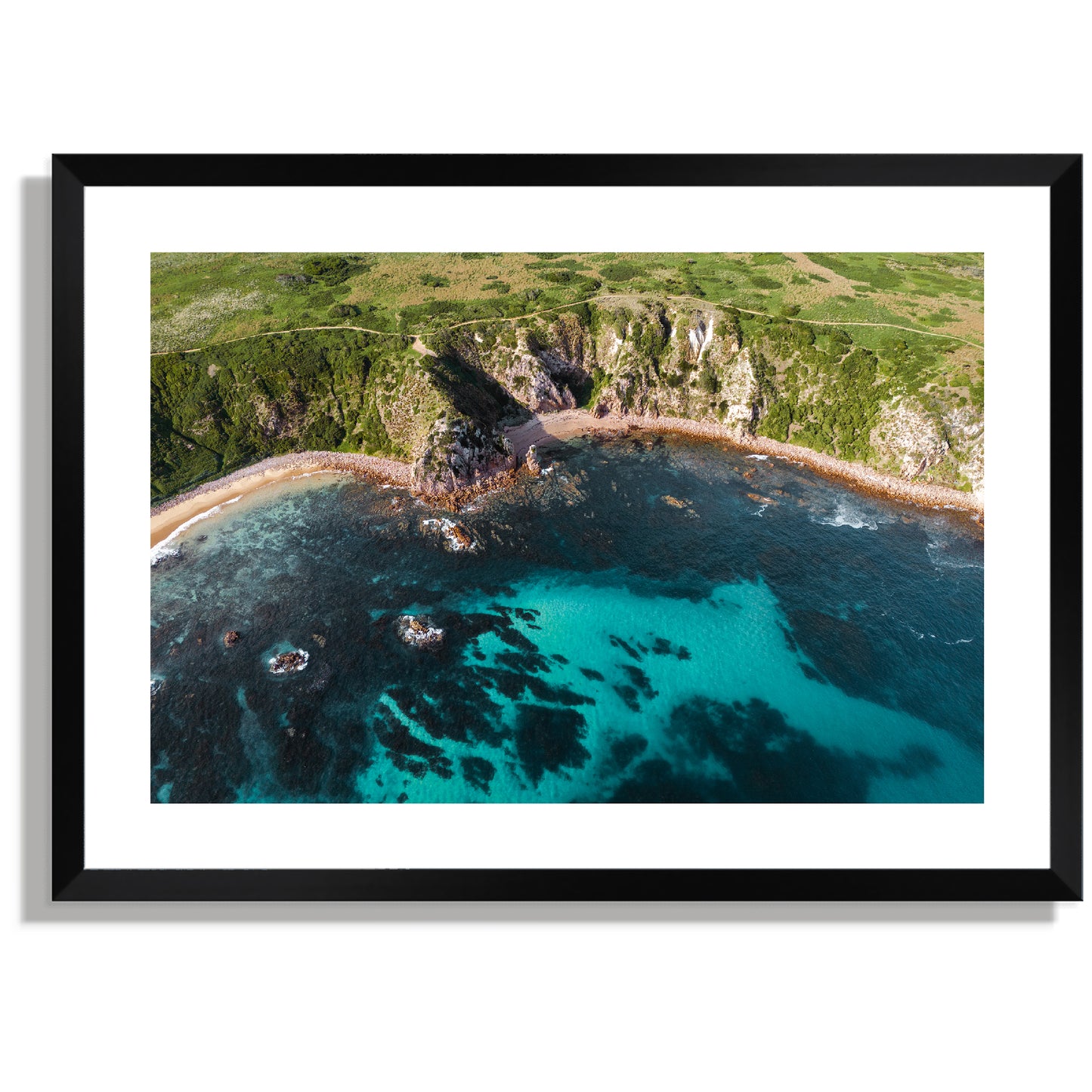 Cowrie Patch Beach Print