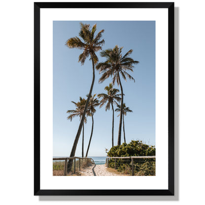 Path to the palms Print