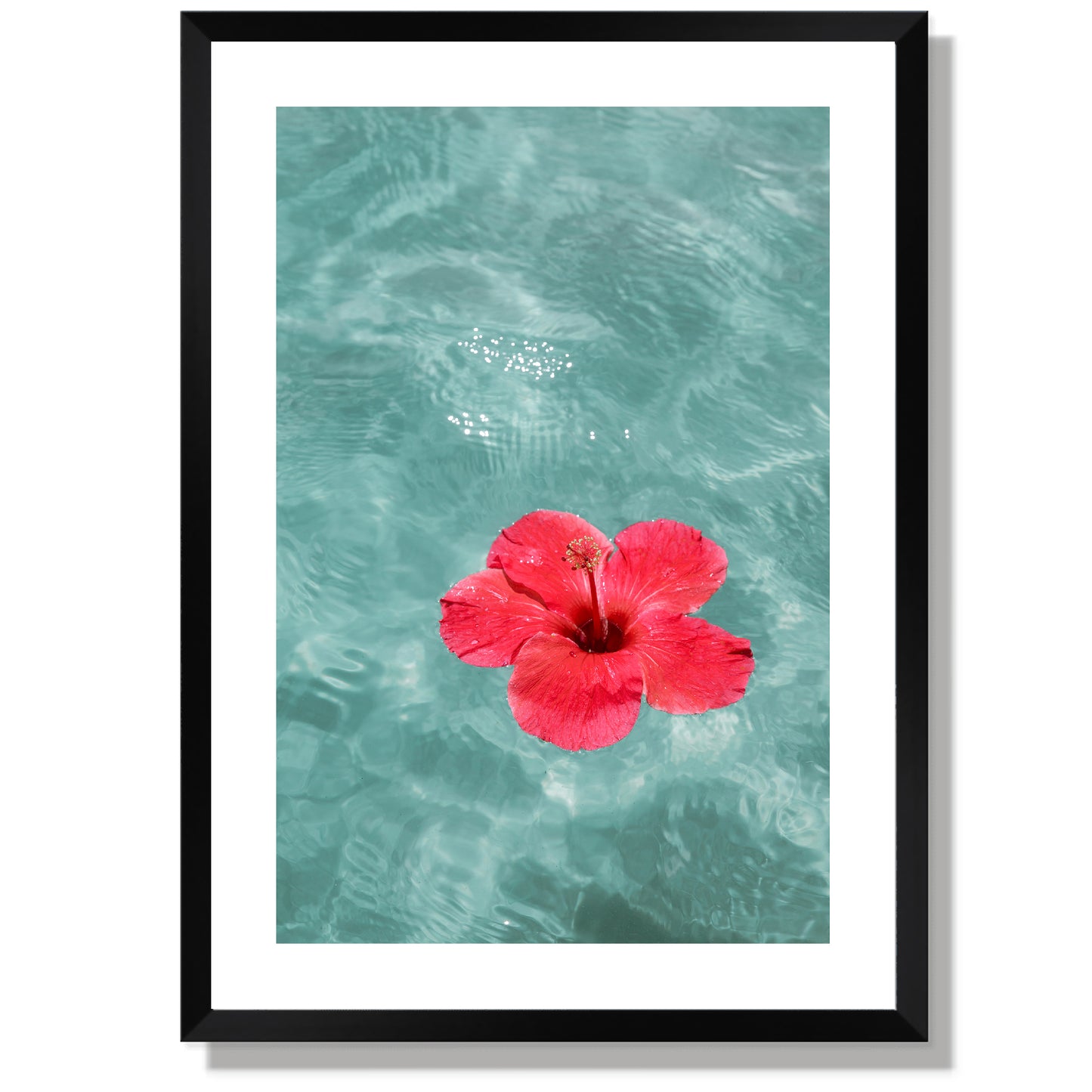 Hibiscus holiday Print