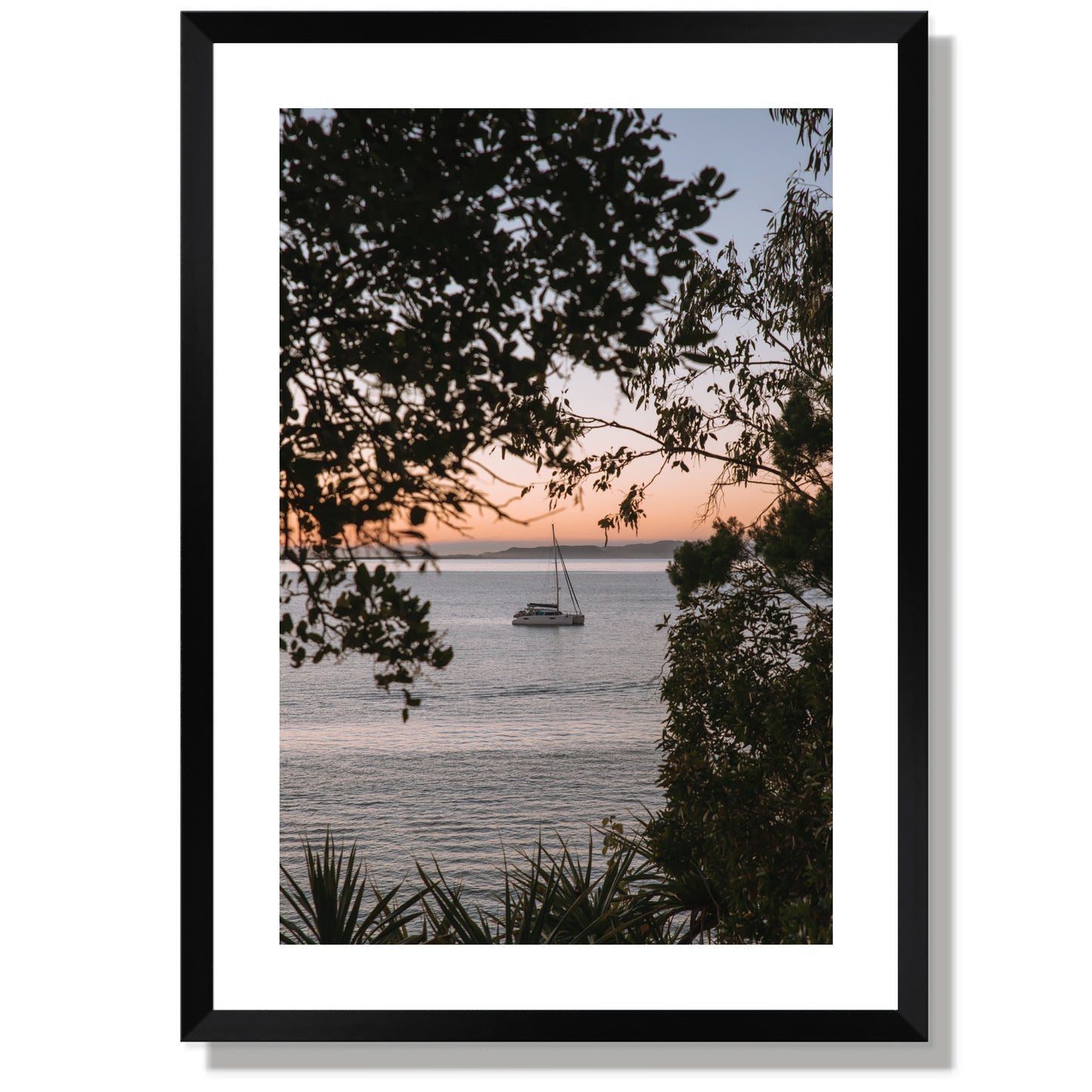 Little Cove Sail Print