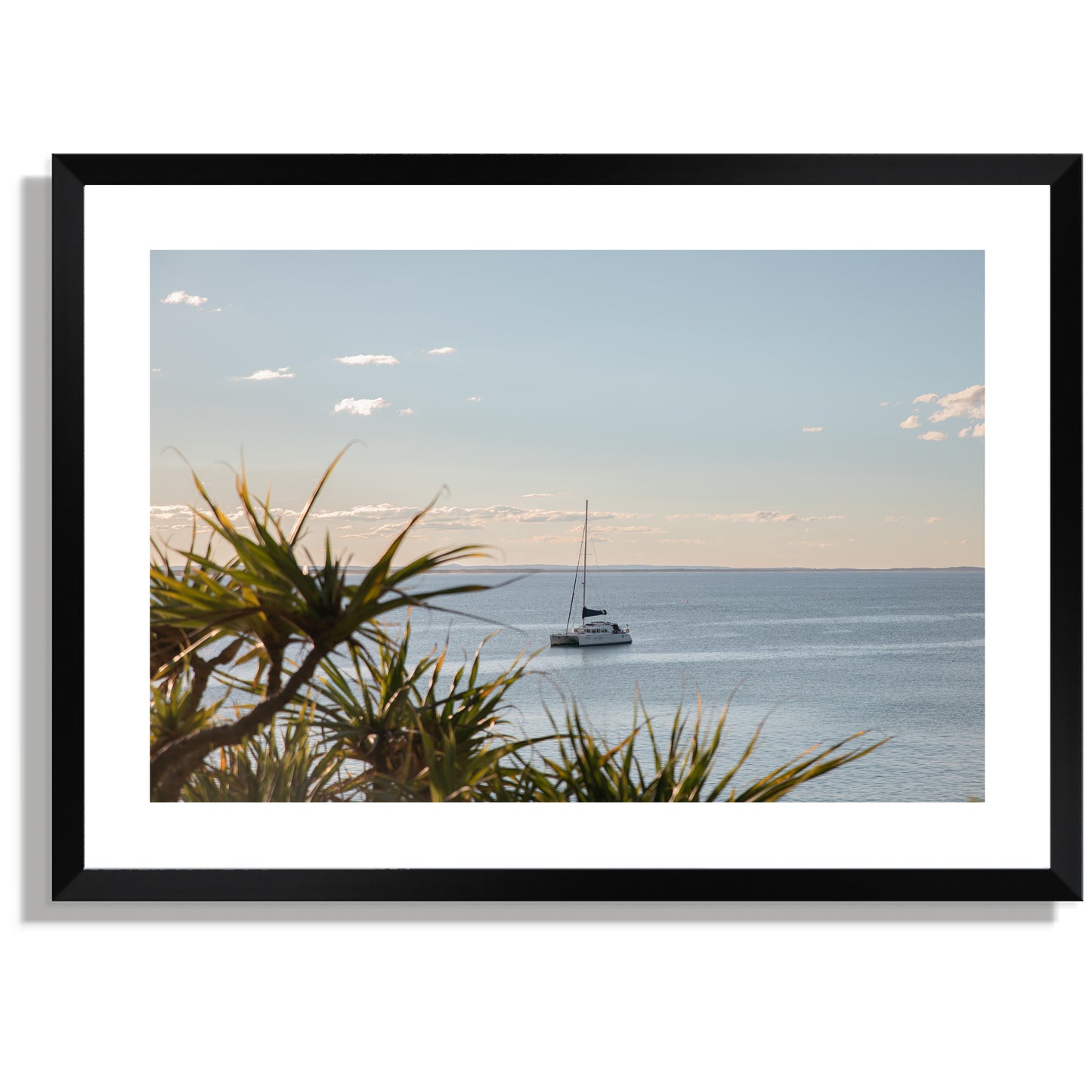 Sail Noosa Wide Print