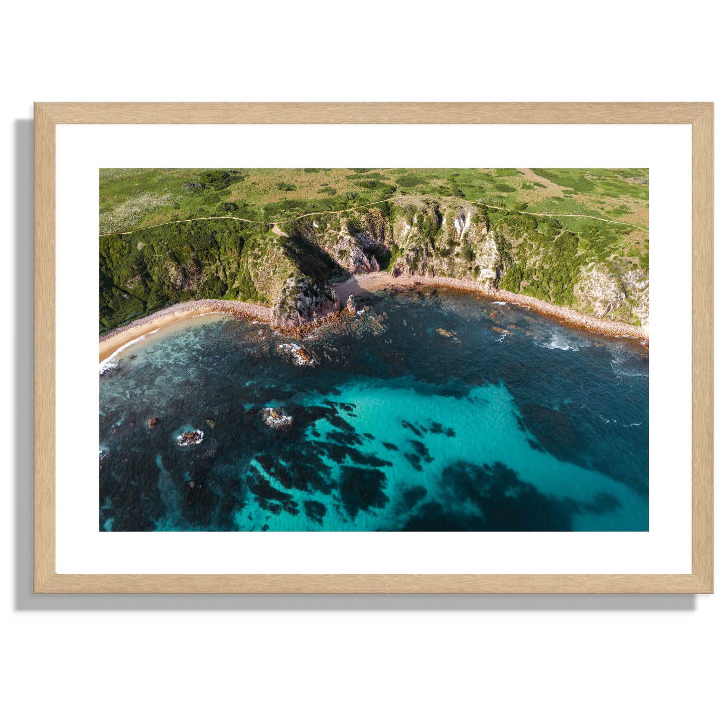 Cowrie Patch Beach Print