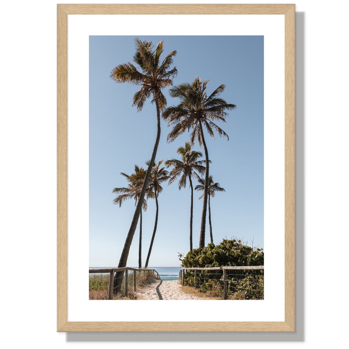 Path to the palms Print