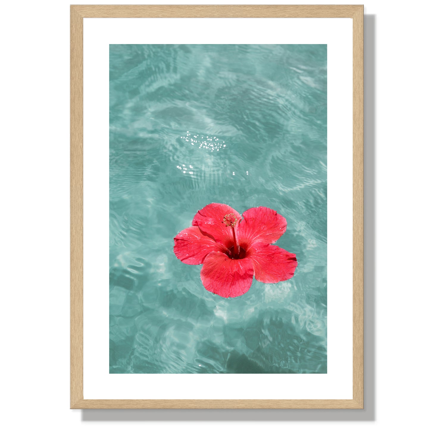 Hibiscus holiday Print