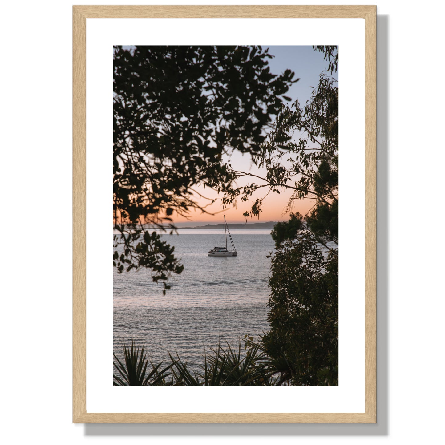 Little Cove Sail Print