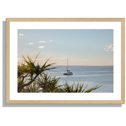 Sail Noosa Wide Print