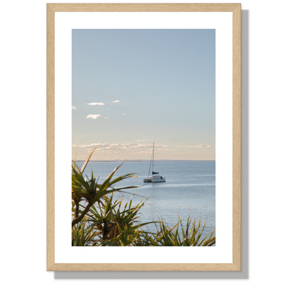 Sail Noosa Print