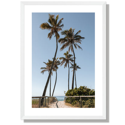 Path to the palms Print