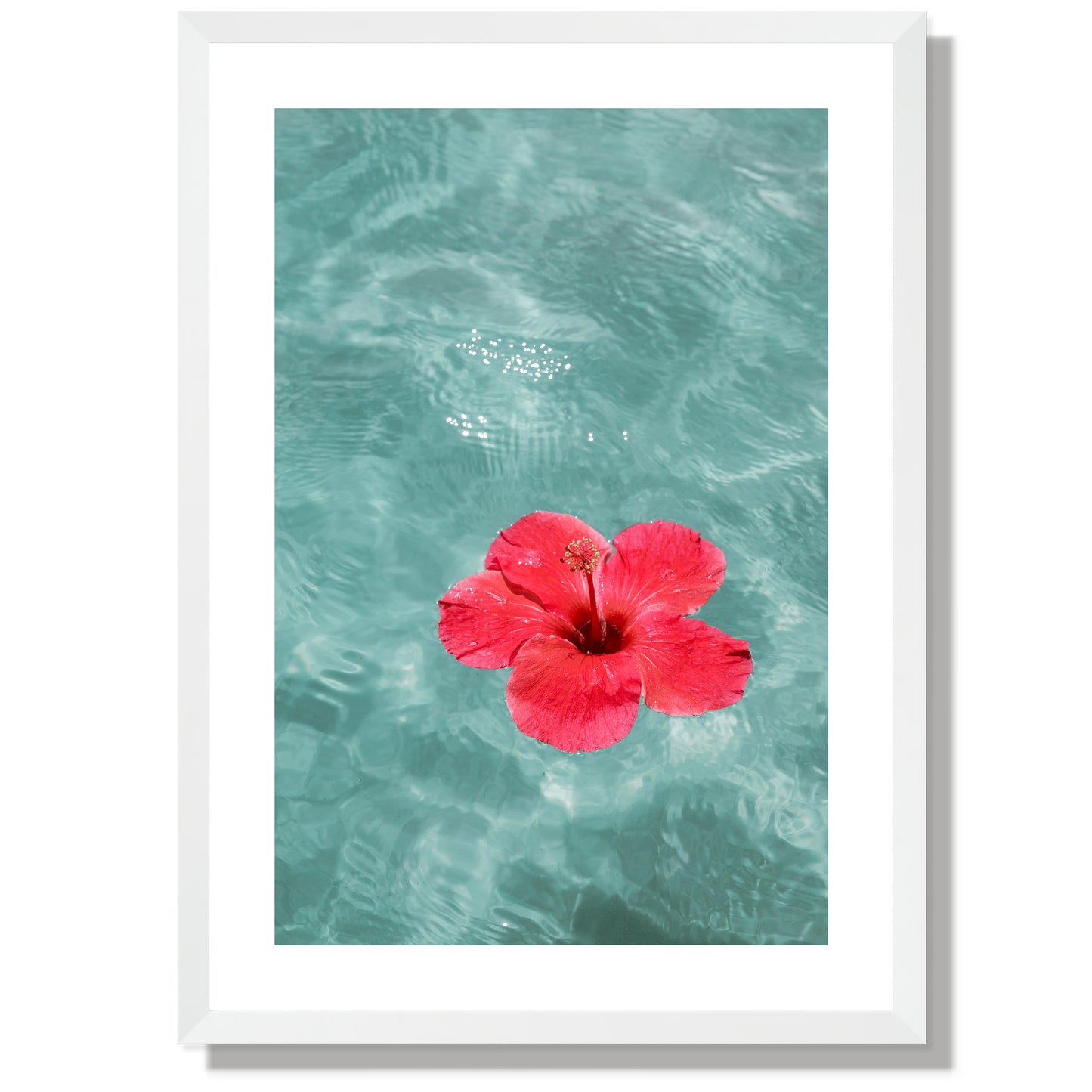 Hibiscus holiday Print