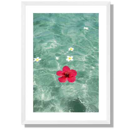 Flowers in turquoise waters Print