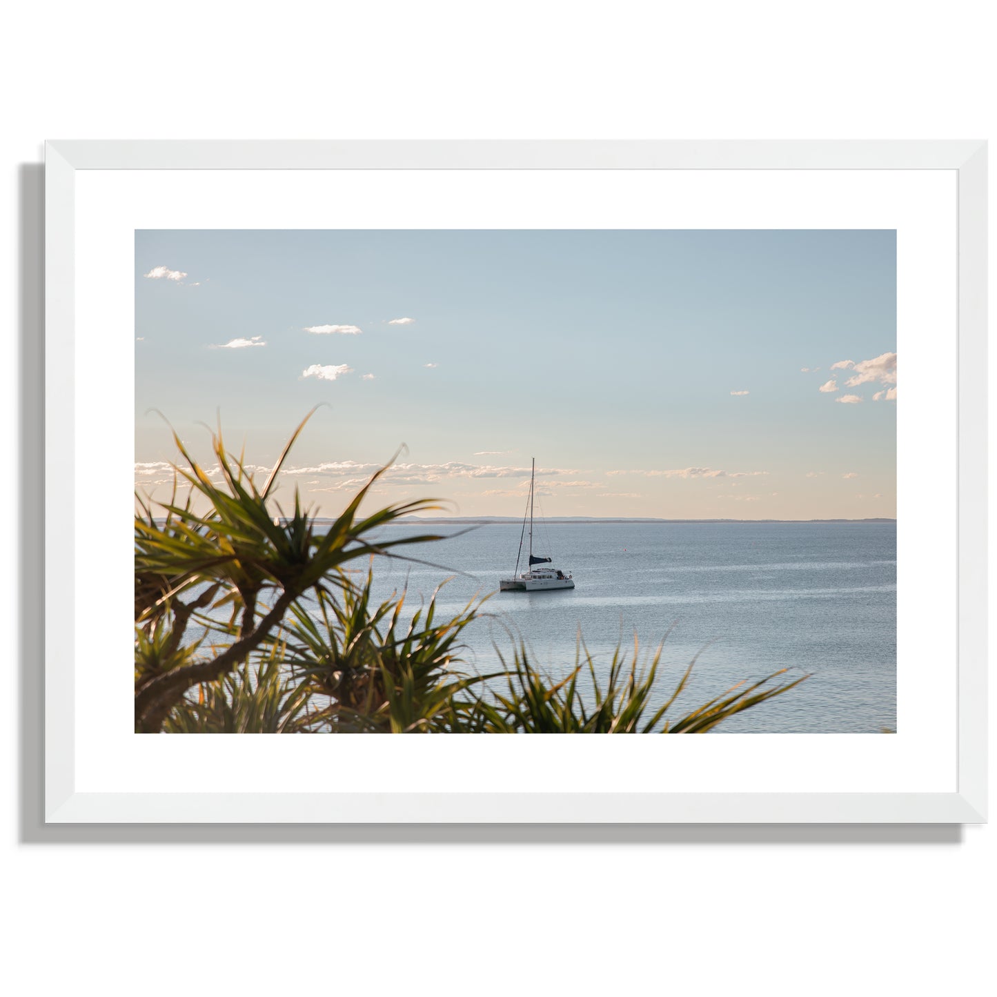 Sail Noosa Wide Print