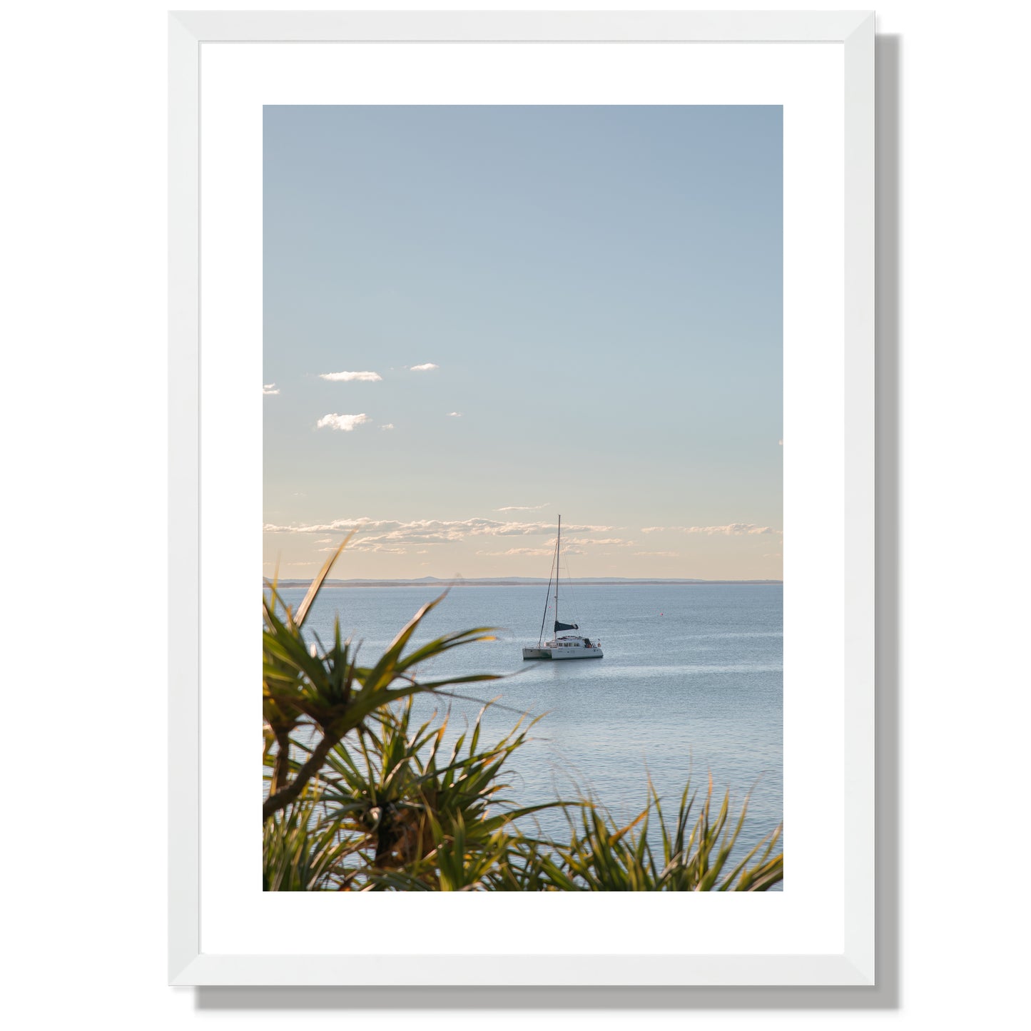 Sail Noosa Print