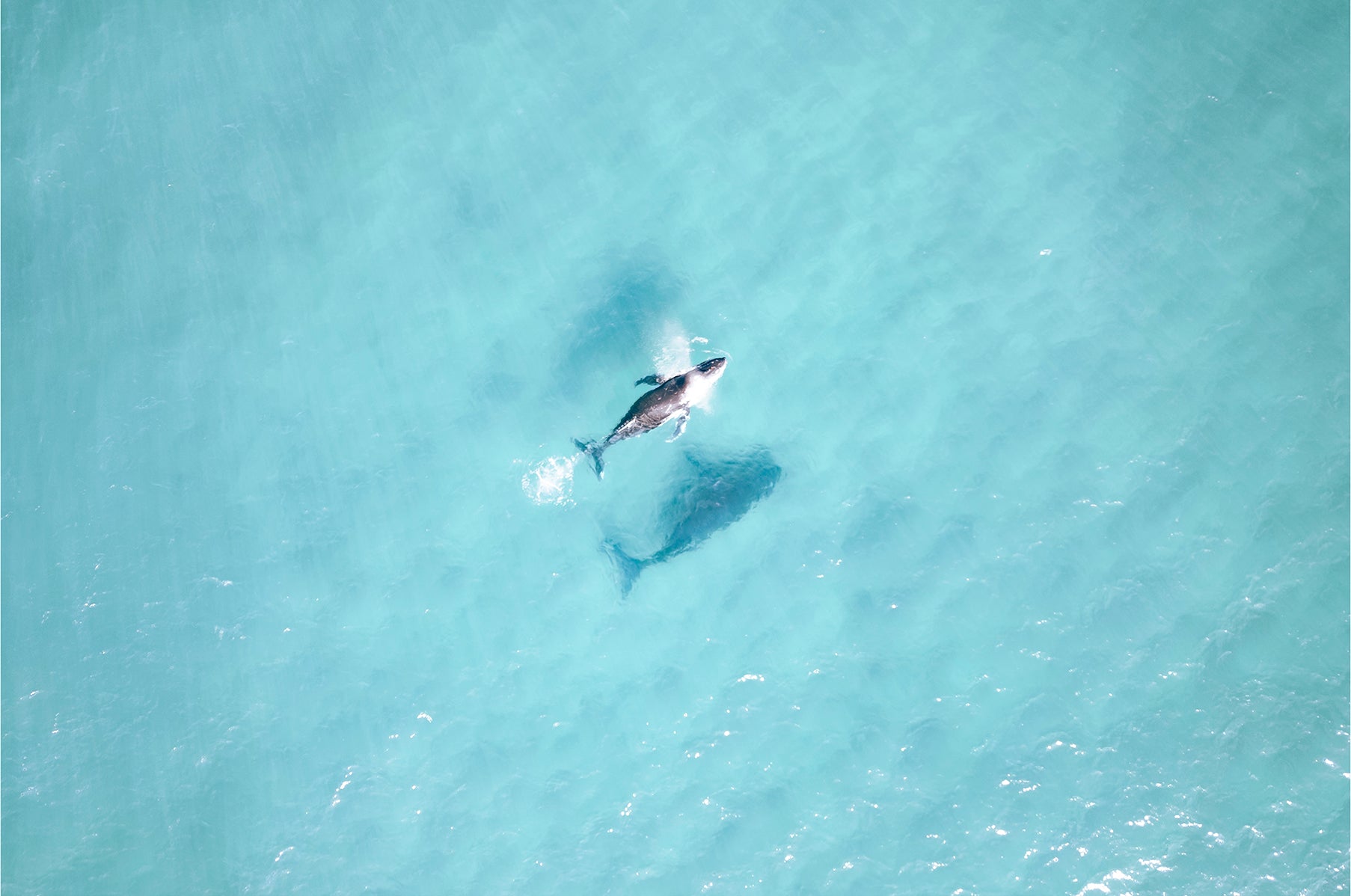 North Stradbroke Island