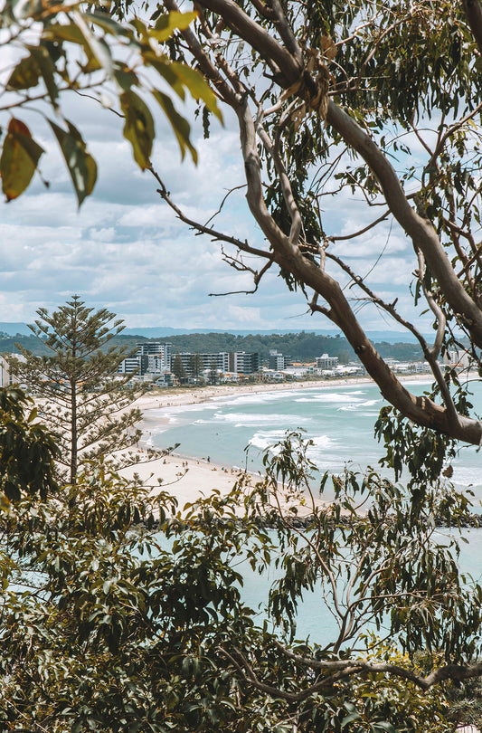 Wallace Nicoll Park, Gold Coast QLD