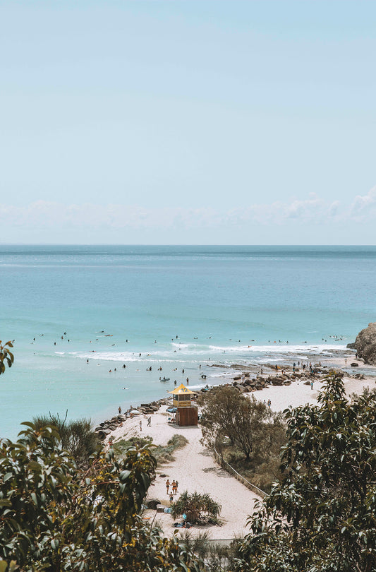 Currumbin Ally from Wallace Nicoll park, Gold coast QLD